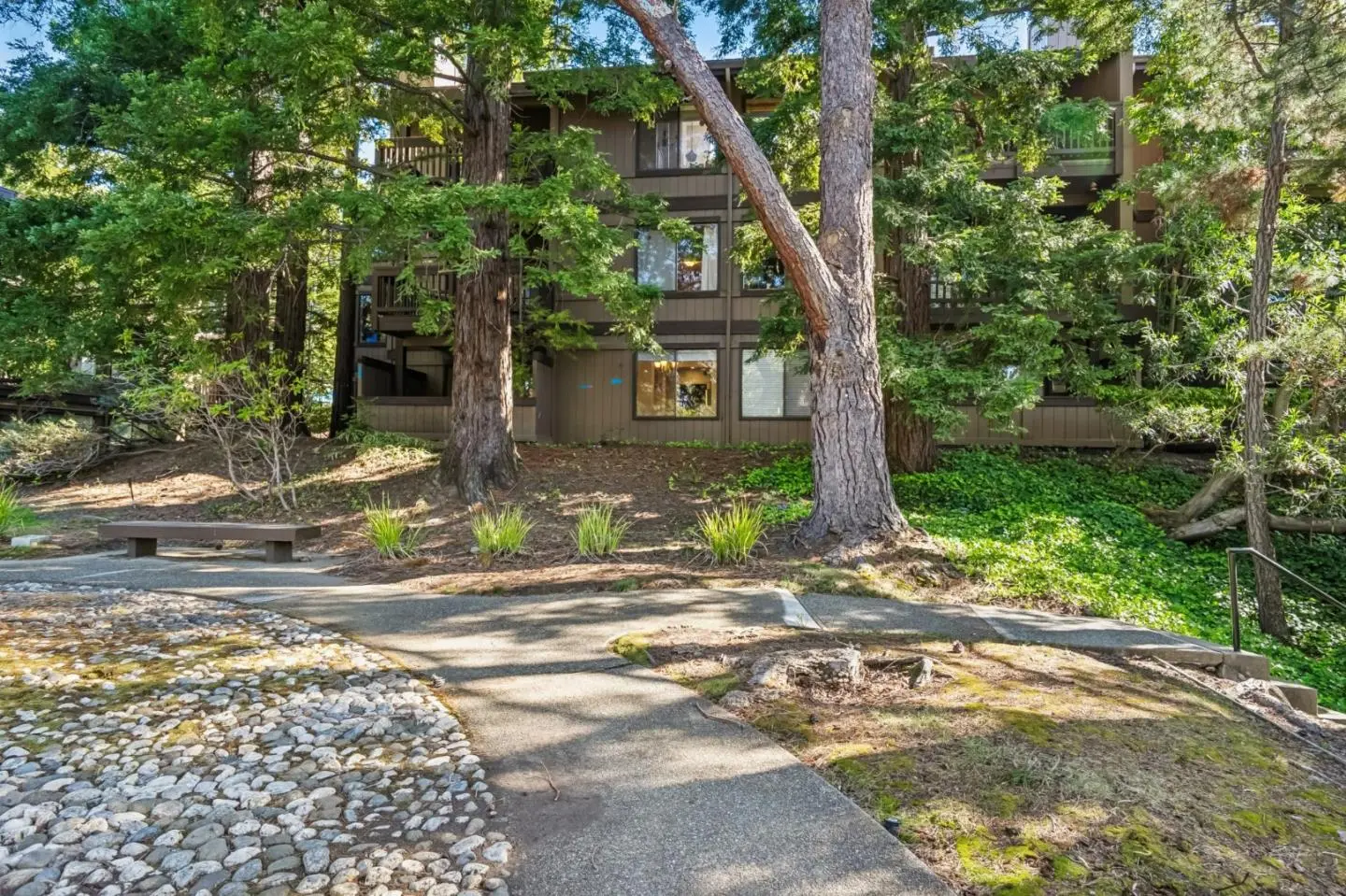 3314 Brittan Ave 1, SAN CARLOS