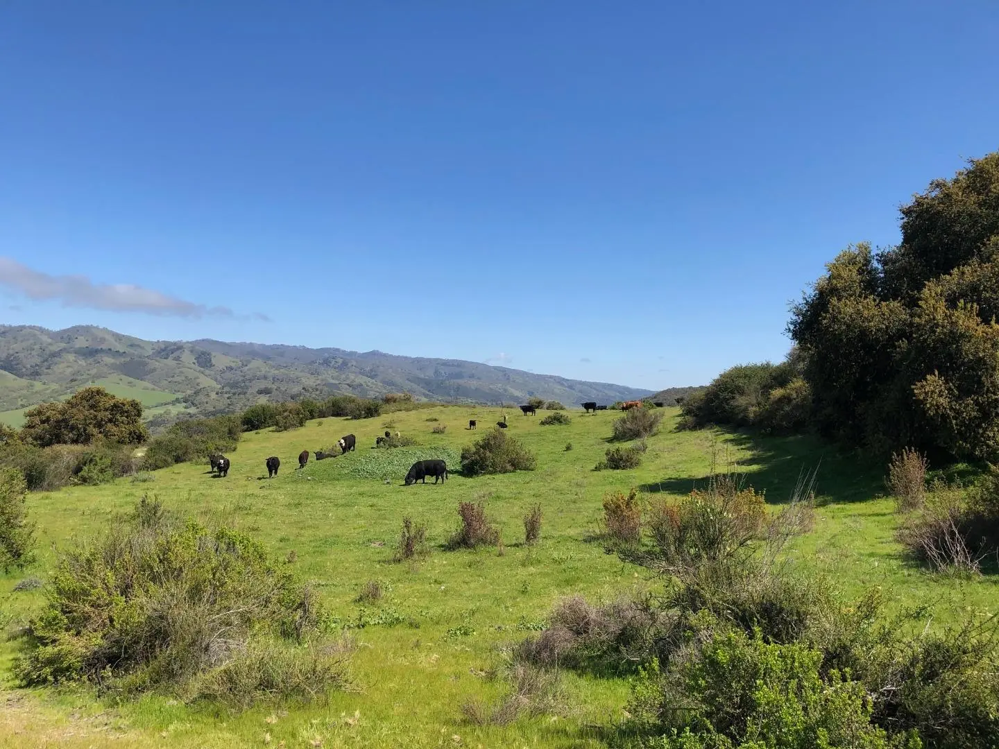 Indian Creek Ranch, 36000 Carmel Valley Rd, CARMEL VALLEY