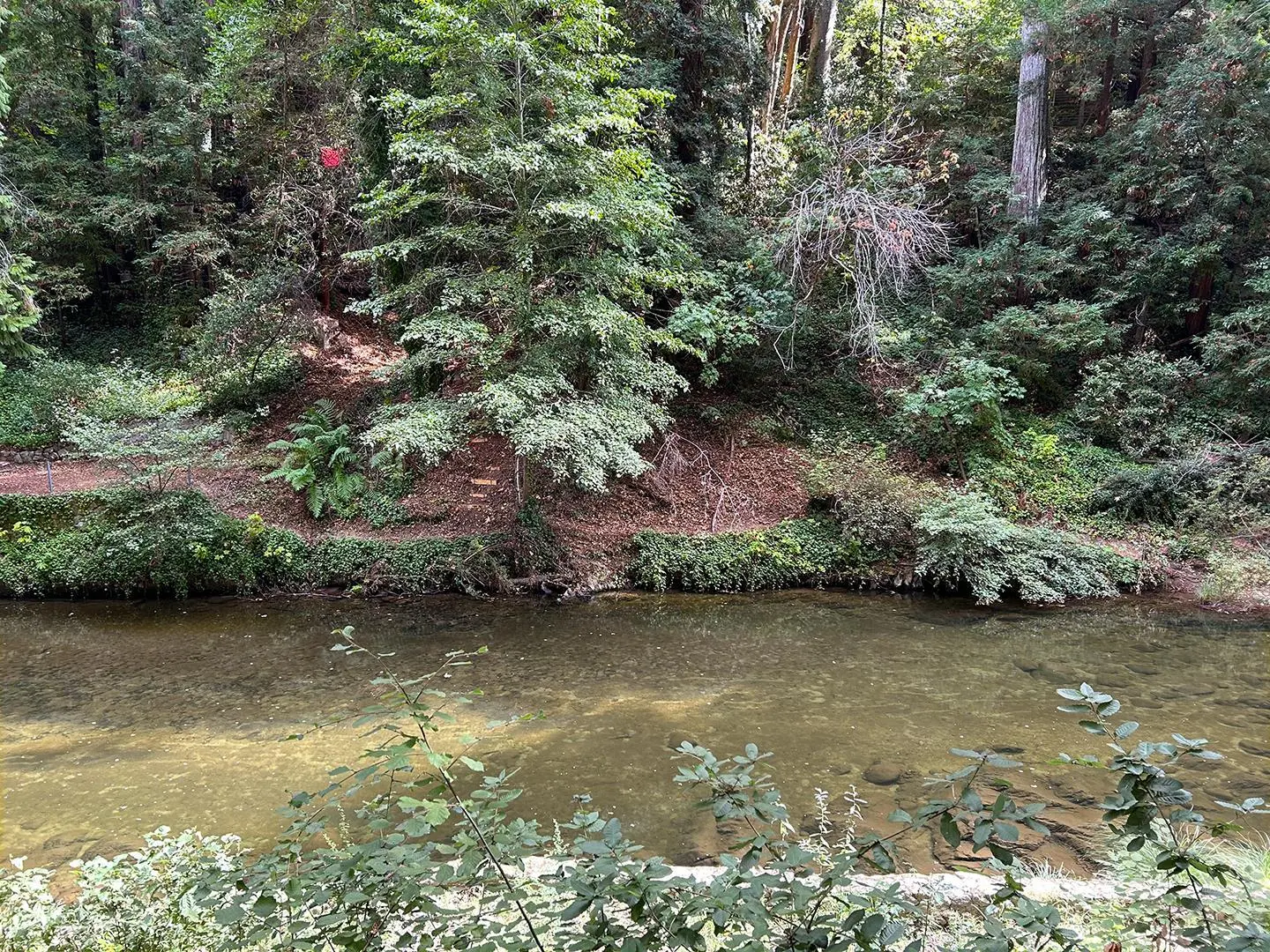 11085 Riverside Rd, BROOKDALE