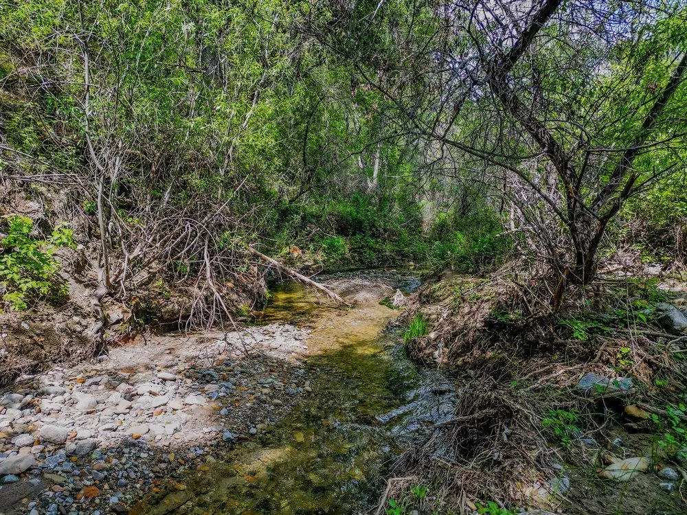 43575 Carmel Valley Rd, GREENFIELD