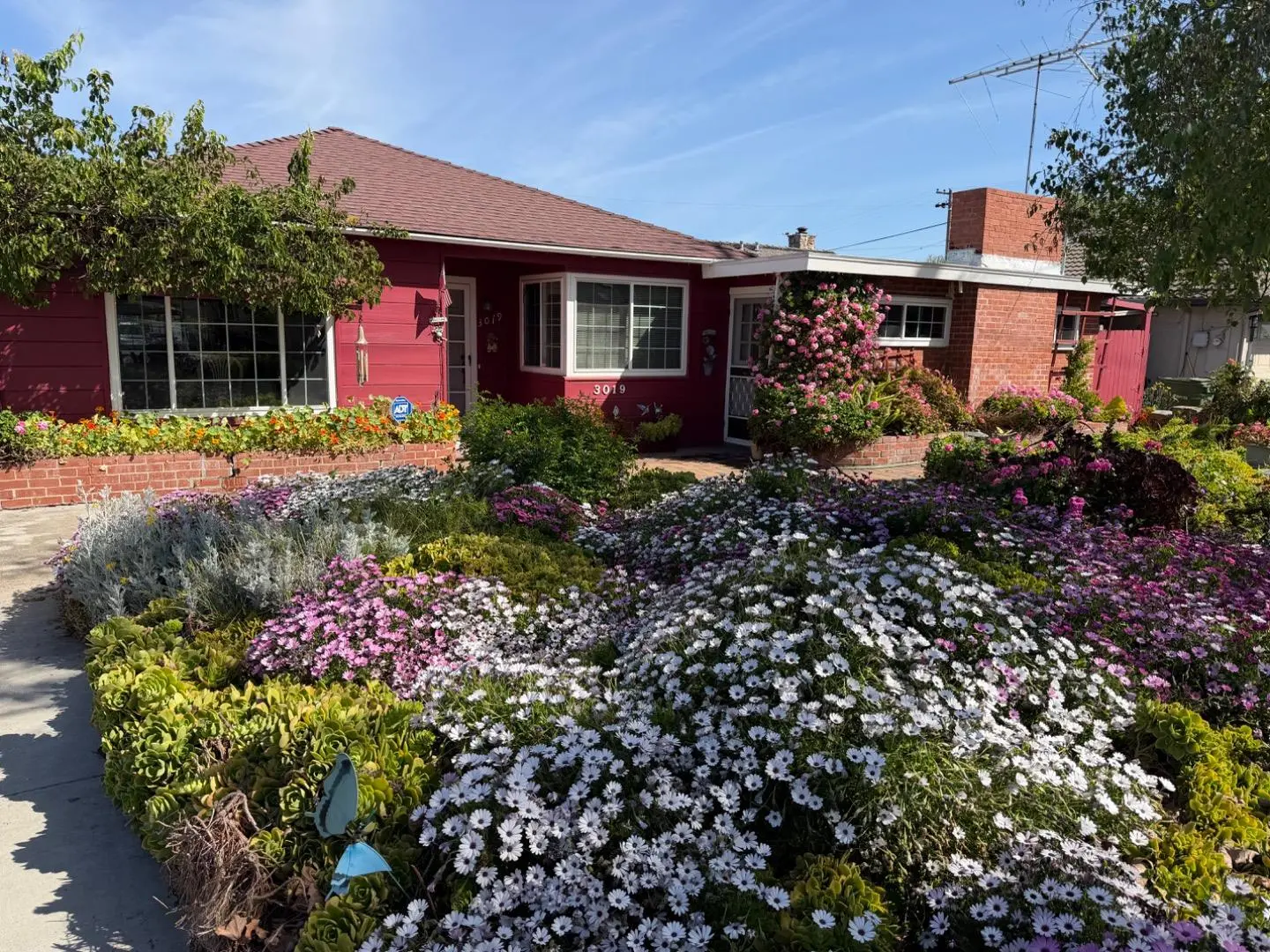 3019 Butte St, SANTA CLARA