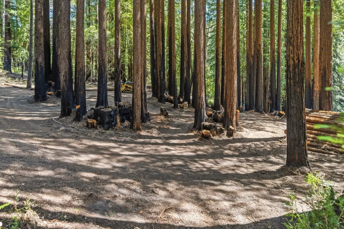 0 Band (lot 15 & 18) Rd, BOULDER CREEK