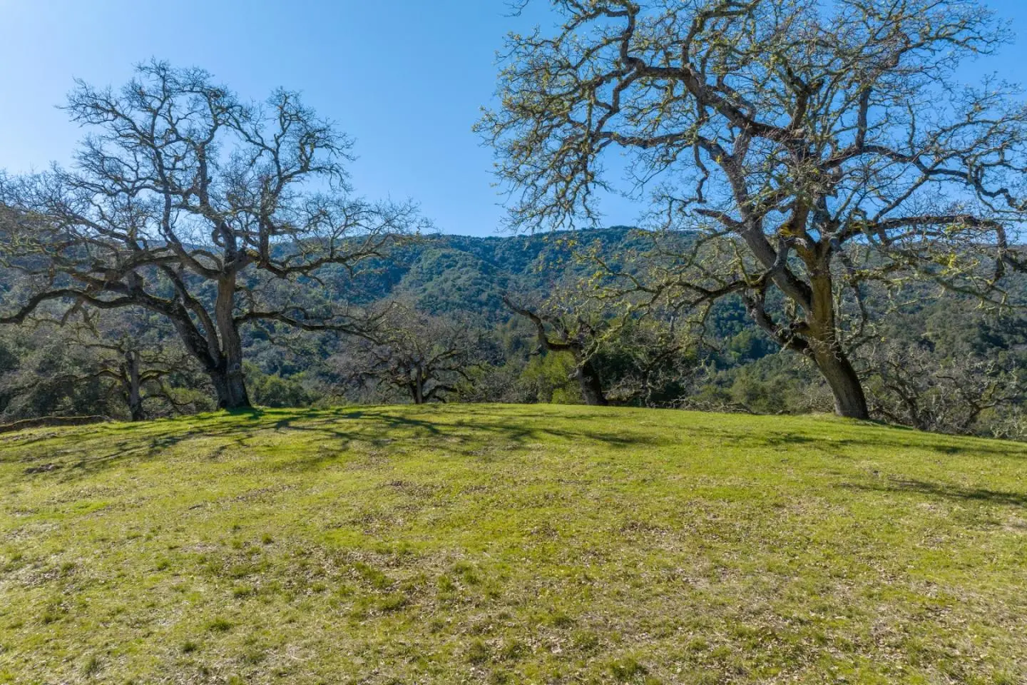 25 Arroyo Sequoia (lot 108), CARMEL