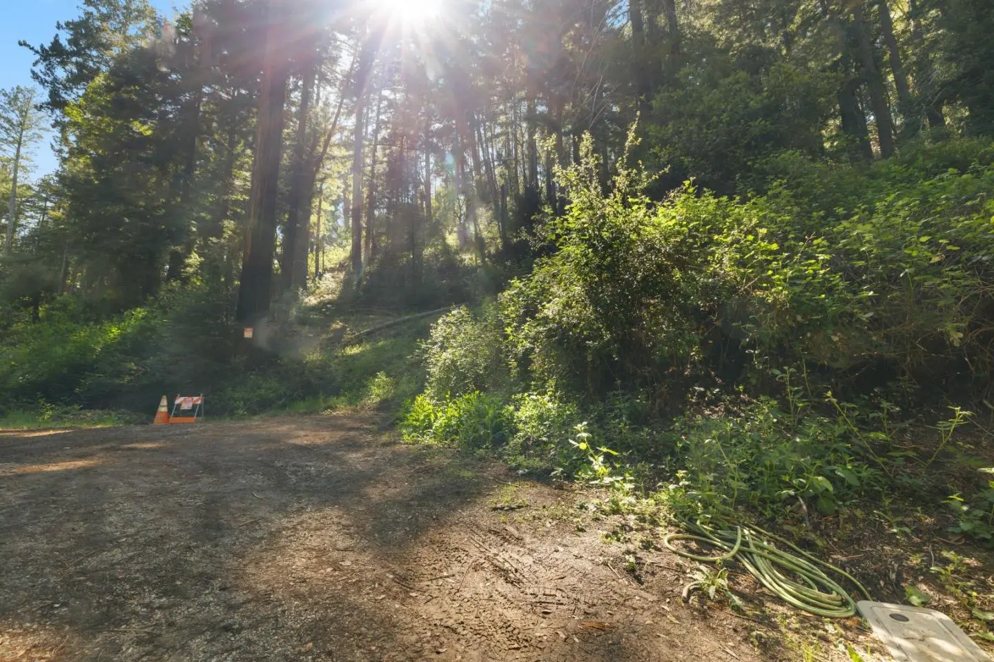 146 Starview Pl, Boulder Creek