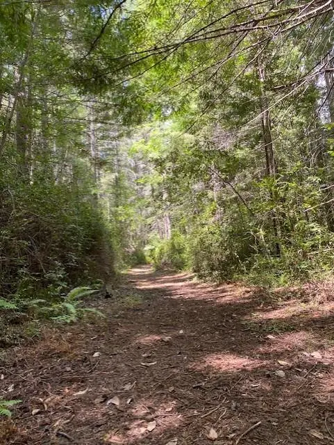 Address Not Disclosed, PIERCY