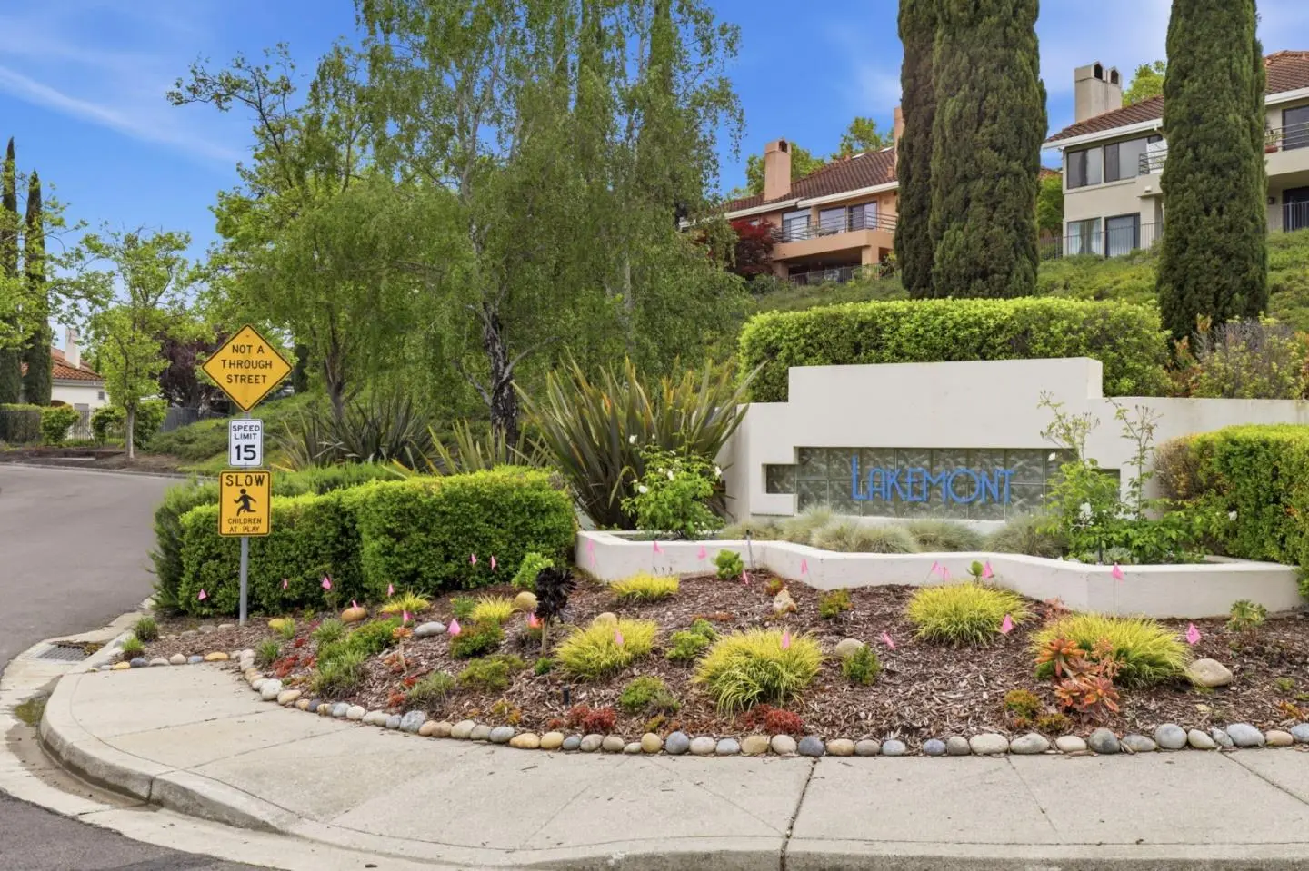 719 Lakemont Pl 3, SAN RAMON