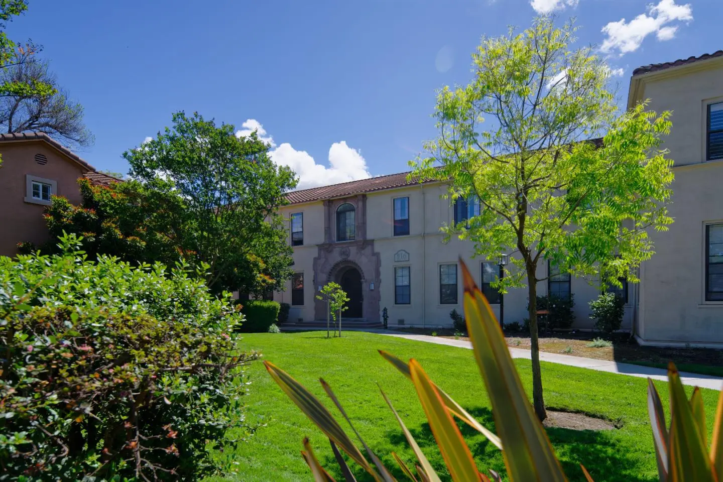 516 Martha St 207, San Jose