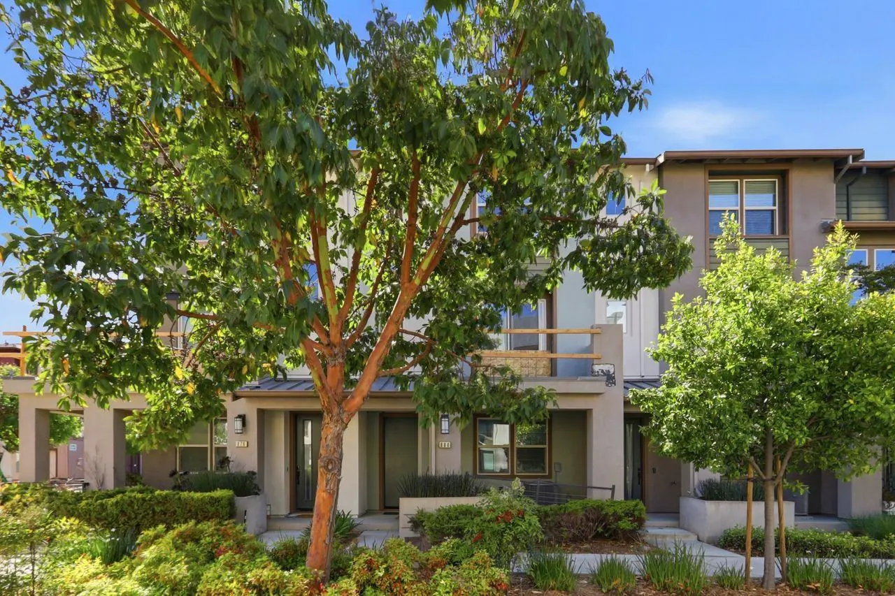 880 Apollo, SANTA CLARA