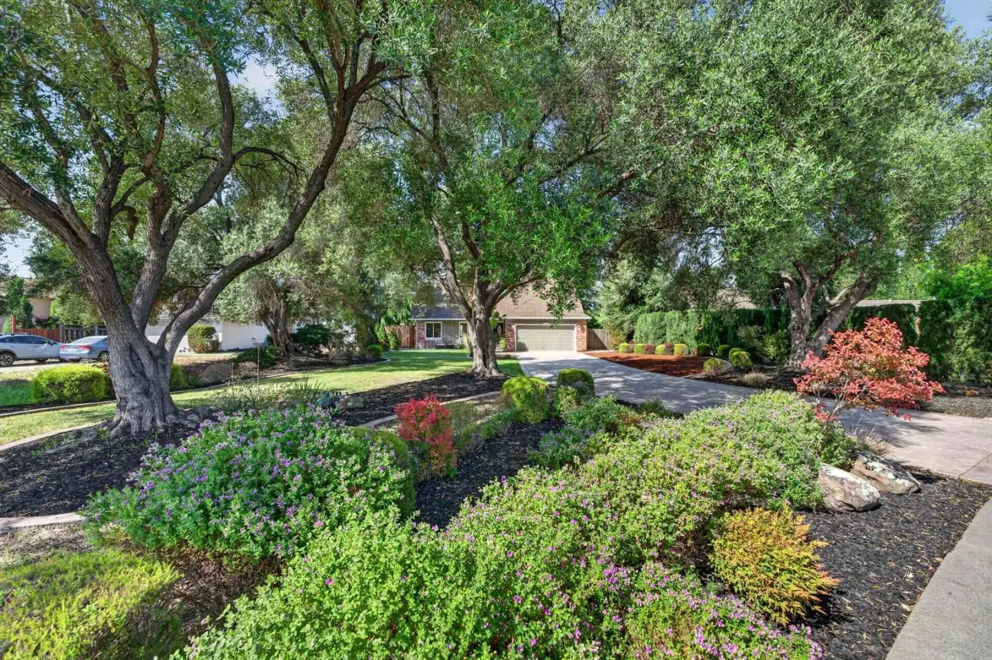 298 Mcduff Ave, FREMONT