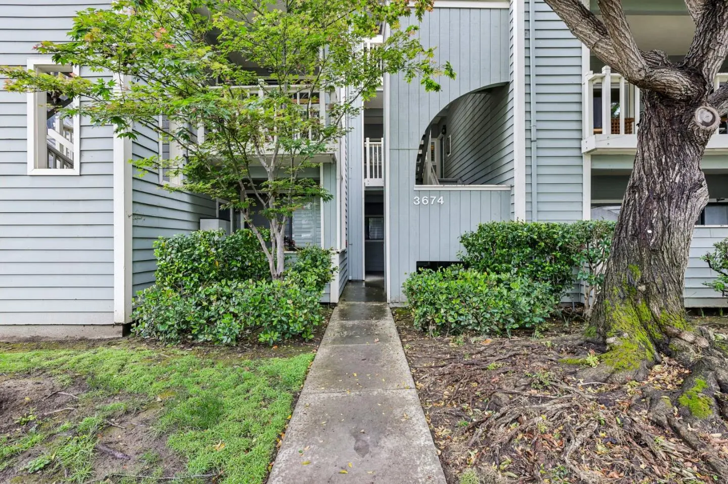 3674 Oakwood Ter 203, FREMONT