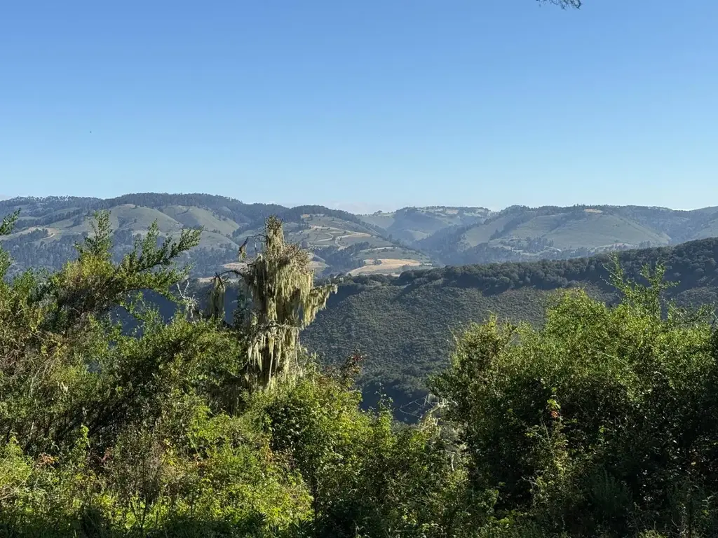 6 Rancho San Carlos (lot E10) Rd, CARMEL