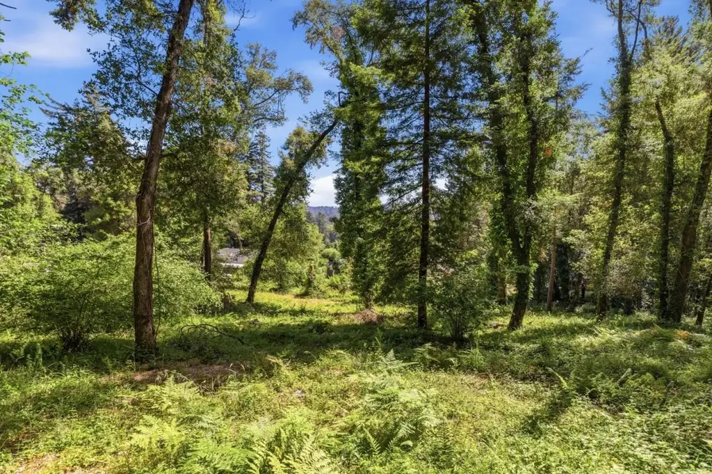 0 Garfield Way, FELTON
