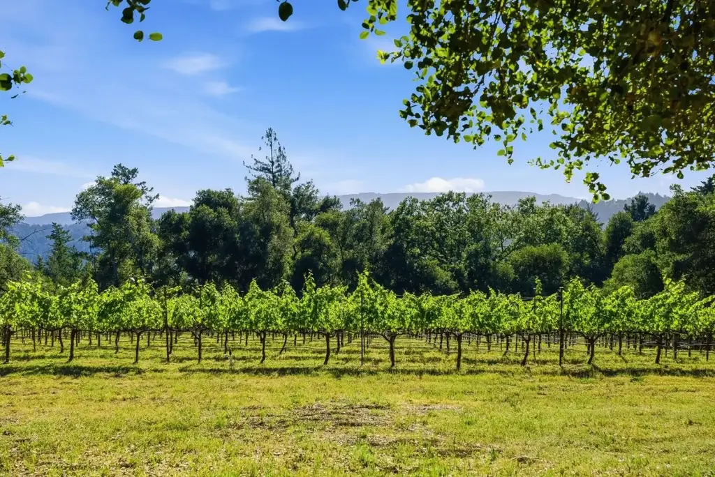 0 Miller Hill Rd, LOS GATOS