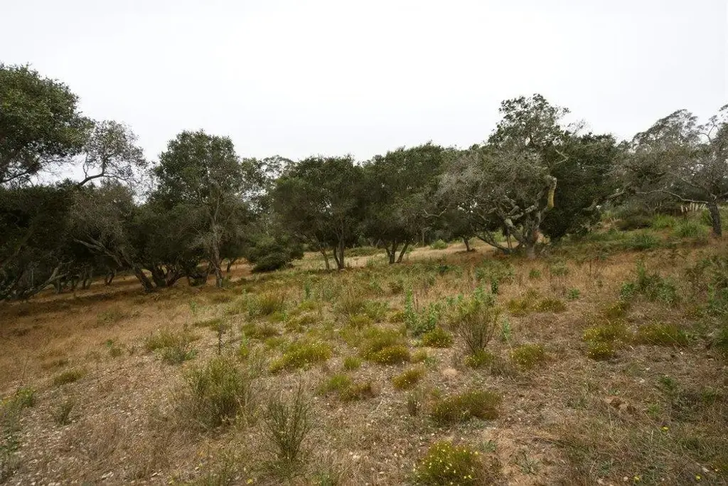 0 Valle Pacifico Rd, SALINAS