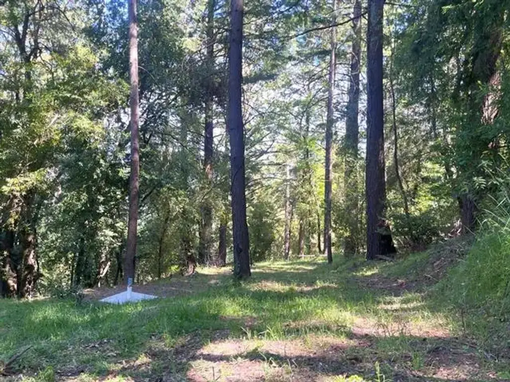 19179 Skyline Blvd, LOS GATOS