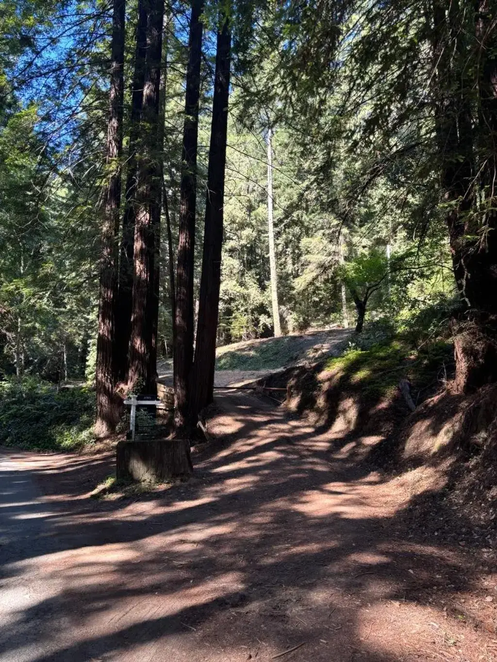 15645 Stetson Rd, LOS GATOS