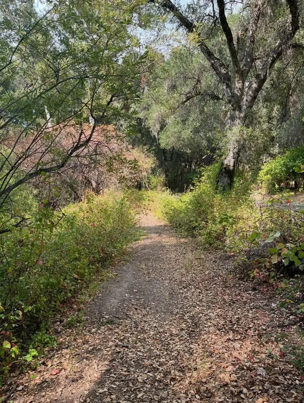 68 Asoleado Dr, CARMEL VALLEY