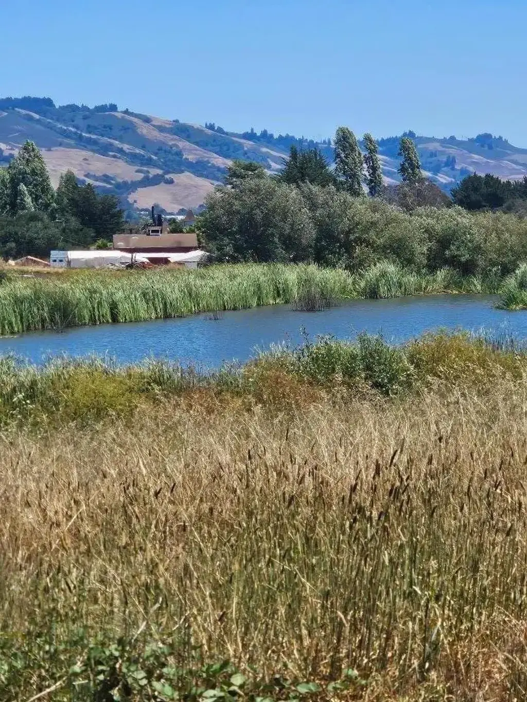 Address Not Disclosed, WATSONVILLE