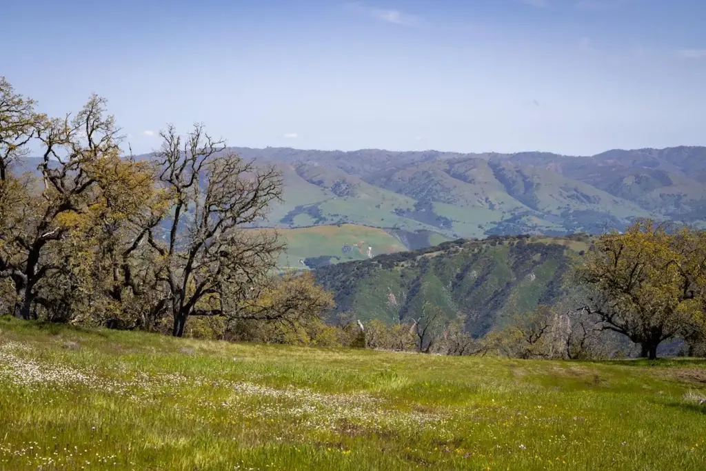 26 Long Ridge Trl, CARMEL