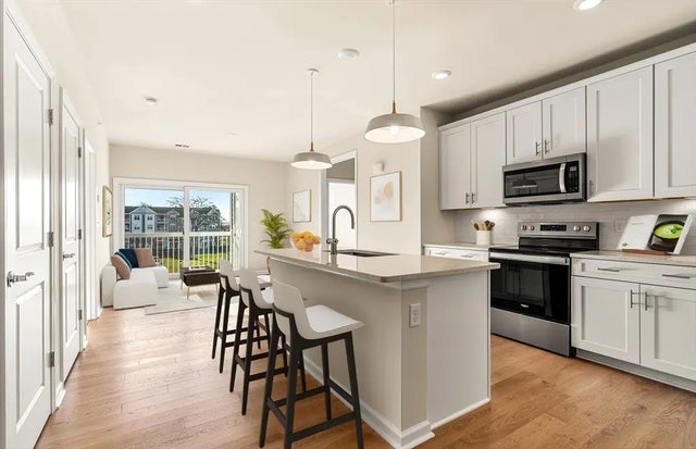 5 Peters Farm Way #5205, Westborough