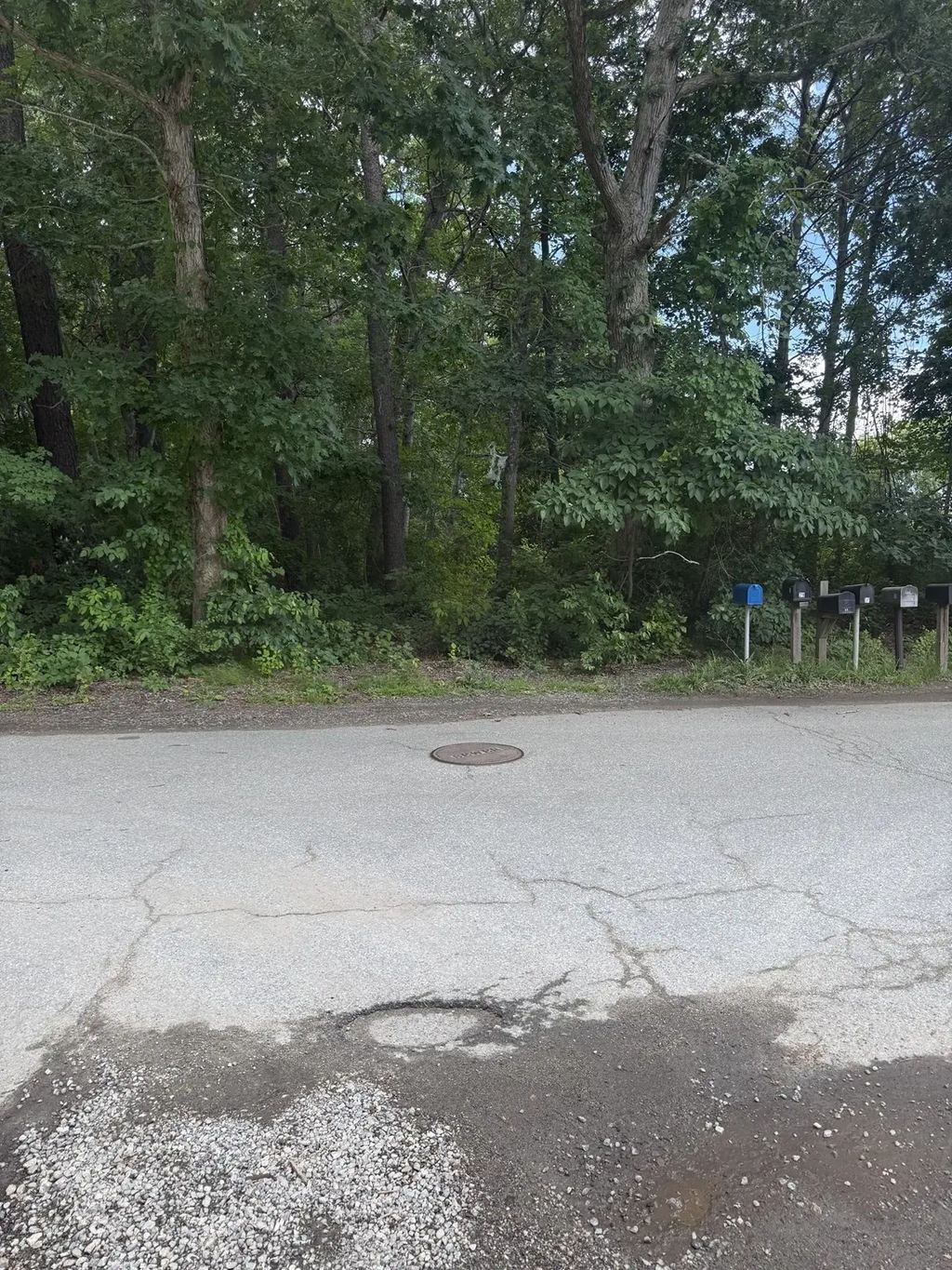 12 Taft St, Wareham