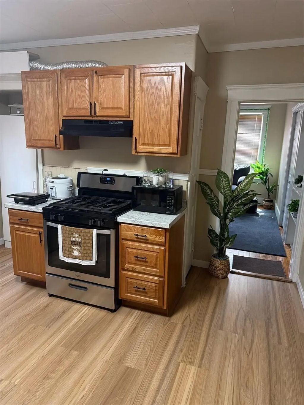 165 Ingleside Ave #1, Worcester