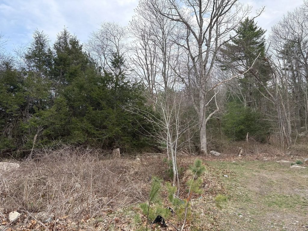 79 Woodman St, Gloucester
