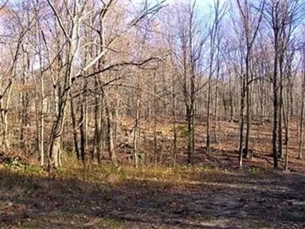 480 Mountain Road, Wilbraham