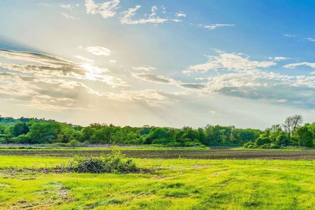 241 Shadyside Avenue, Concord