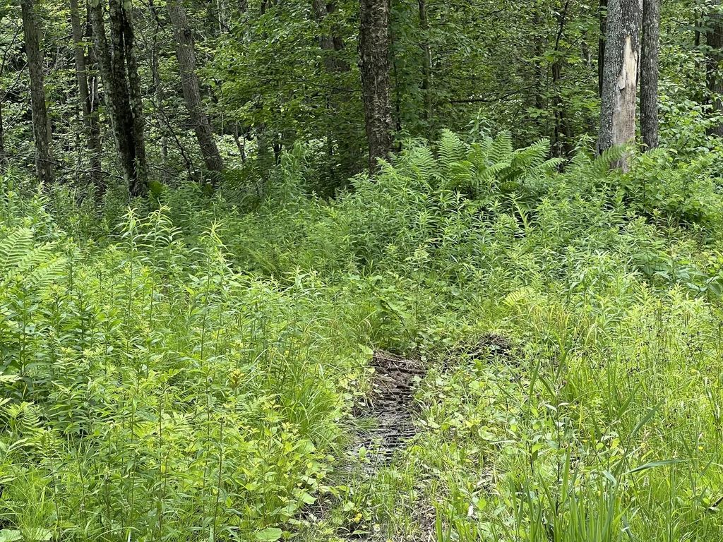 Lot 21 Becket Rd, Middlefield