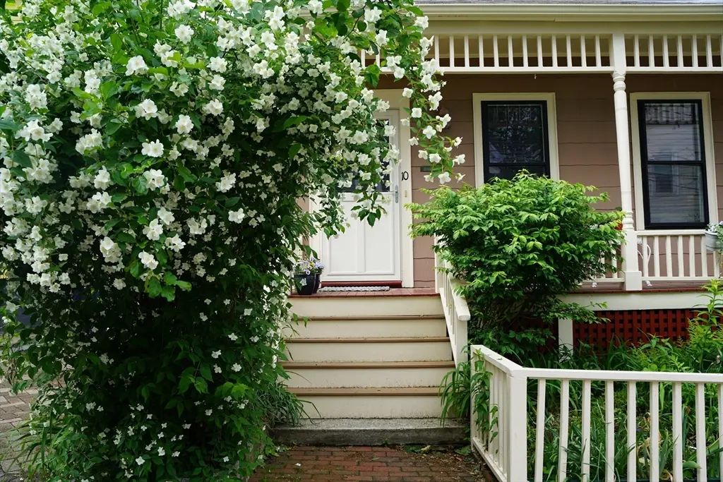 10 Mountain Ave, Somerville