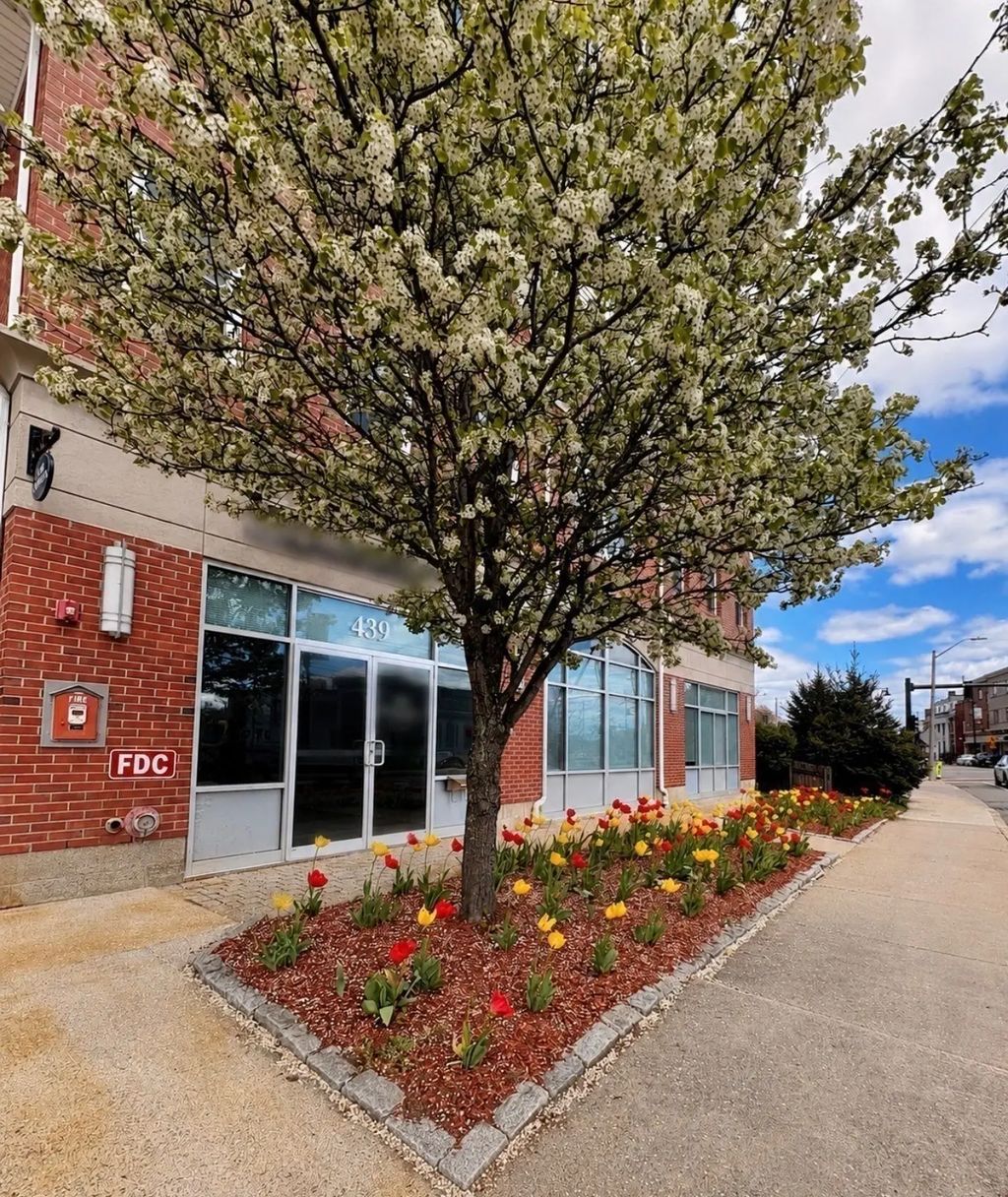 441 Washington St #203, Dedham