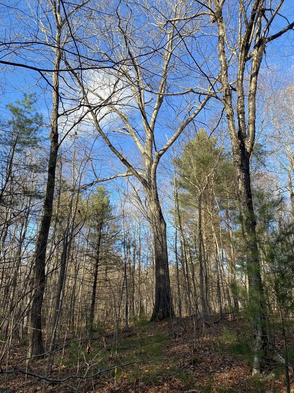 Lot B Brimfield Rd, Monson