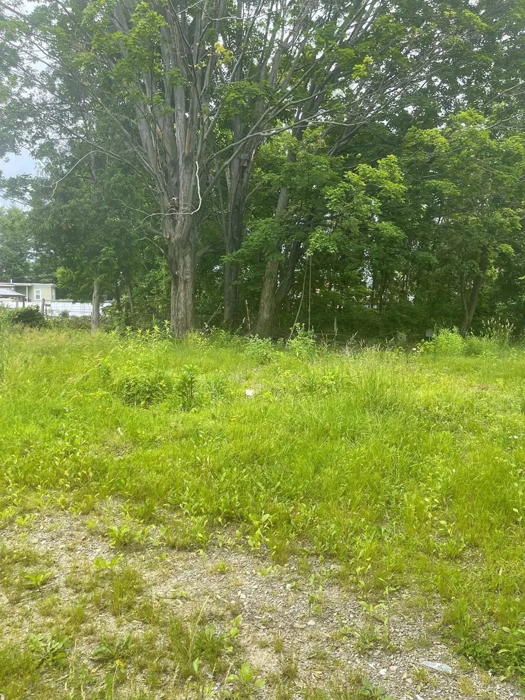 Lot 1 Tamarack, Lowell