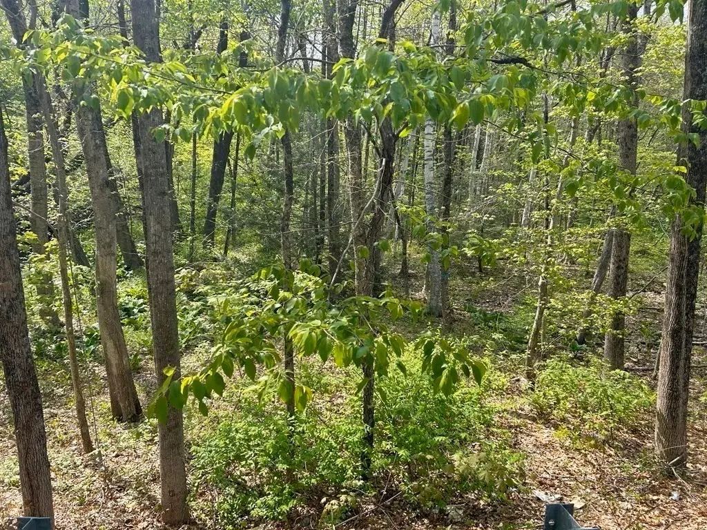 45 Fox Hill Rd, Mashpee