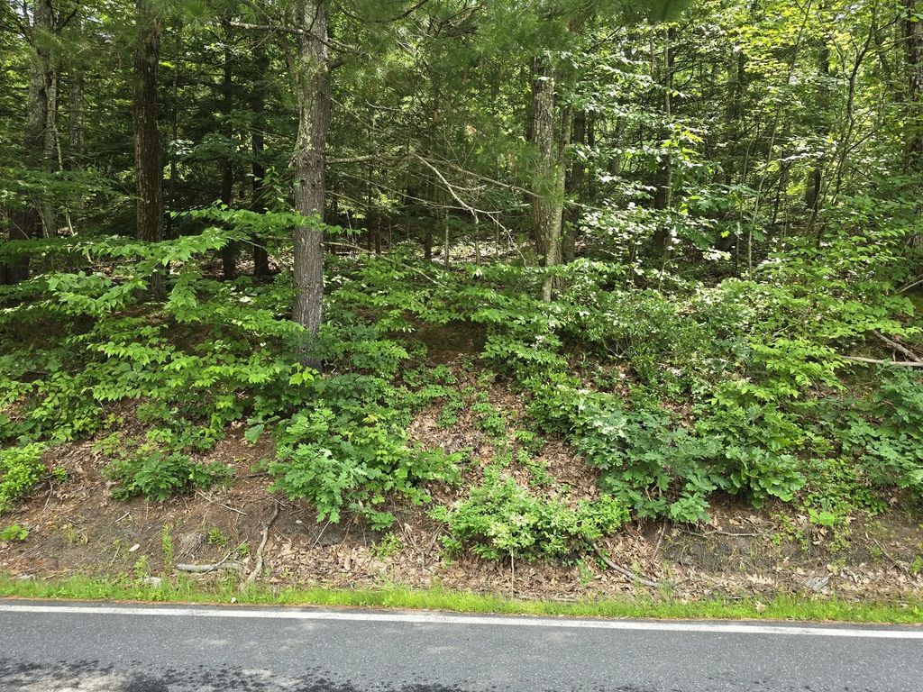 37 N Farms Rd, Williamsburg