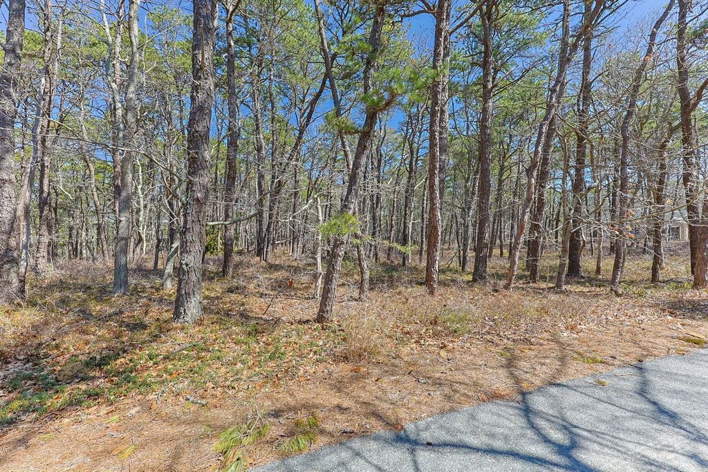 175 Delphi Path, Wellfleet