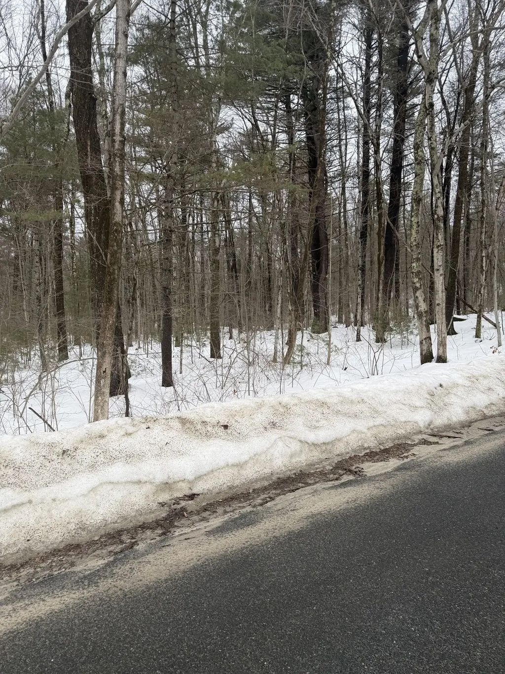 166v Beebe Rd, Monson