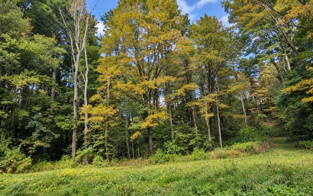 Lot 2 Ma-41, Richmond