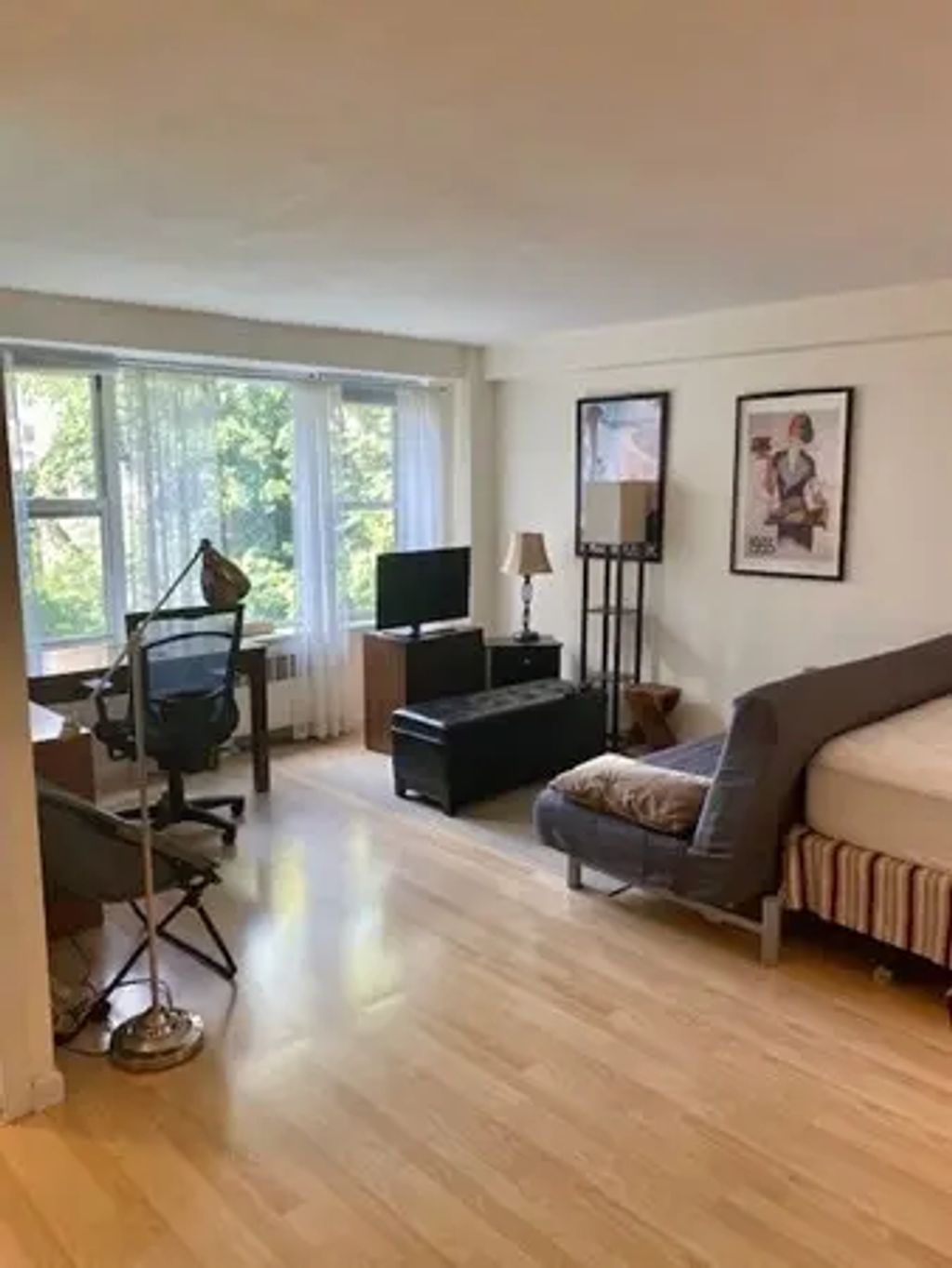145 Pinckney Furnished #416, Boston