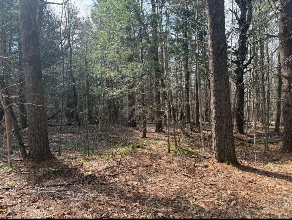 Island Acres Rd, Blandford