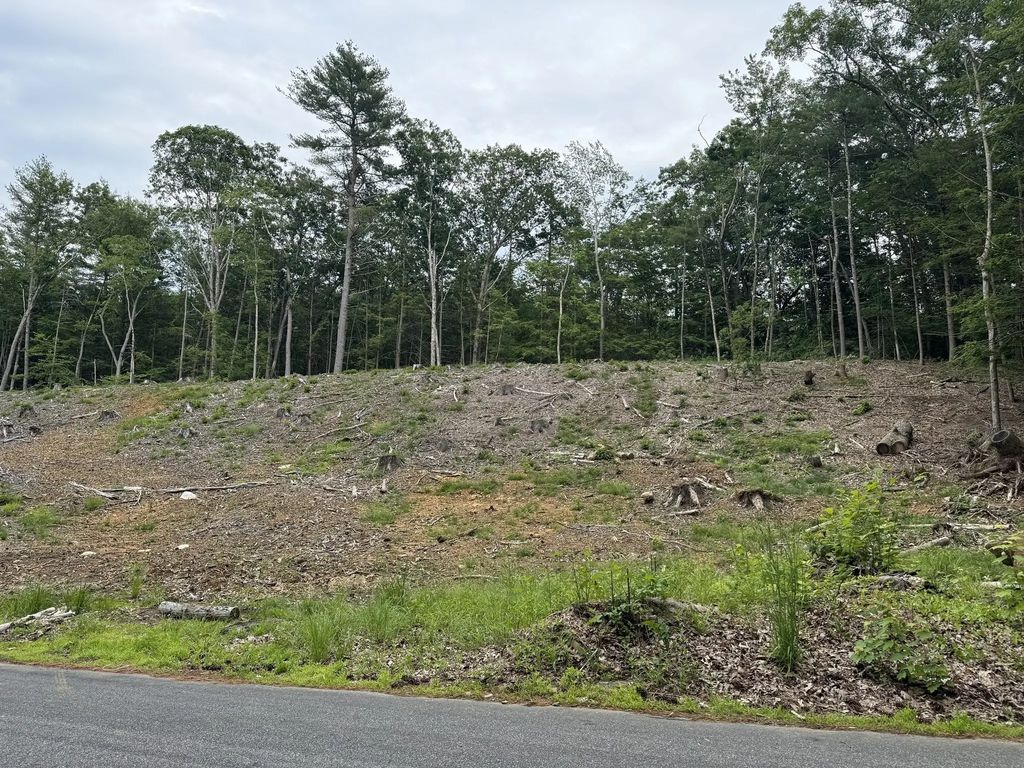 Alpine, Southbridge