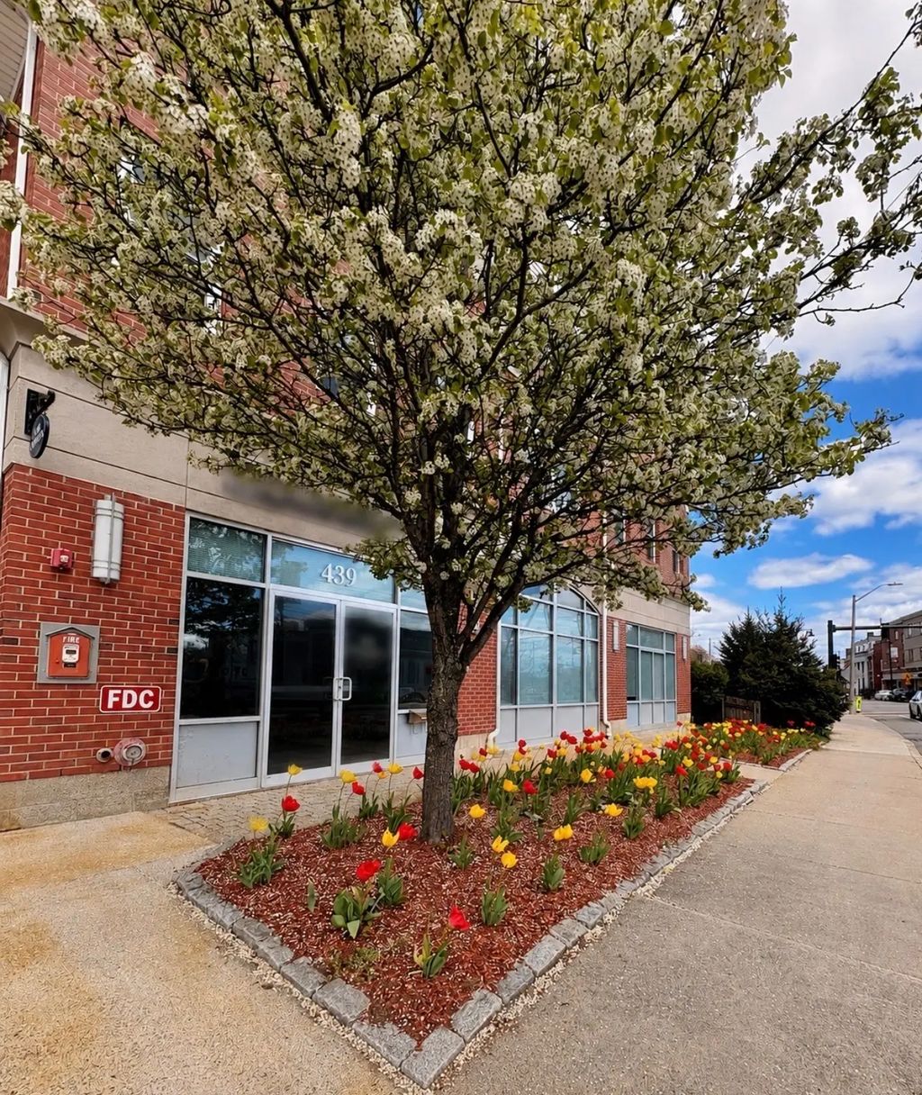 441 Washington St #305, Dedham