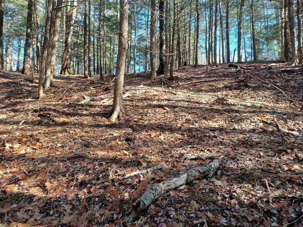 296 Northwest Road, Westhampton
