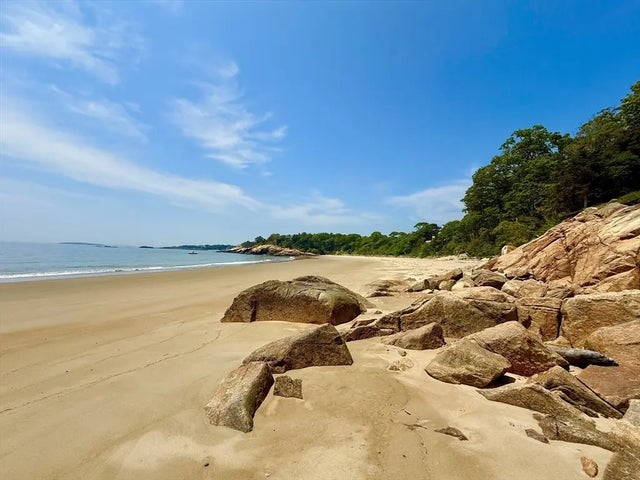 239 Summer, Manchester