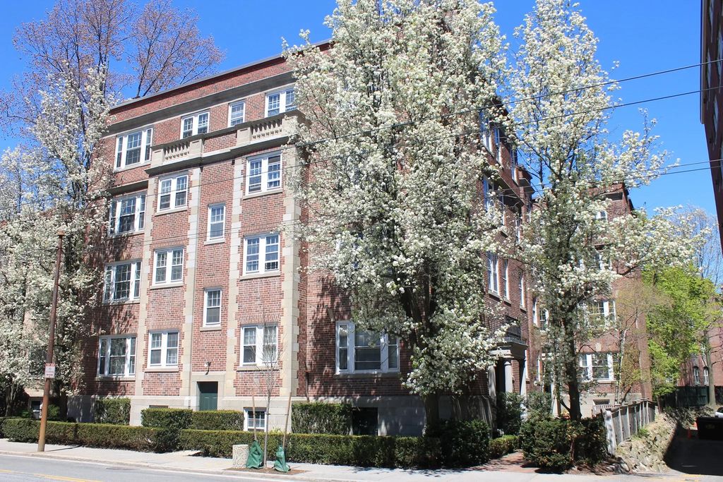 31 Concord Ave #11, Cambridge