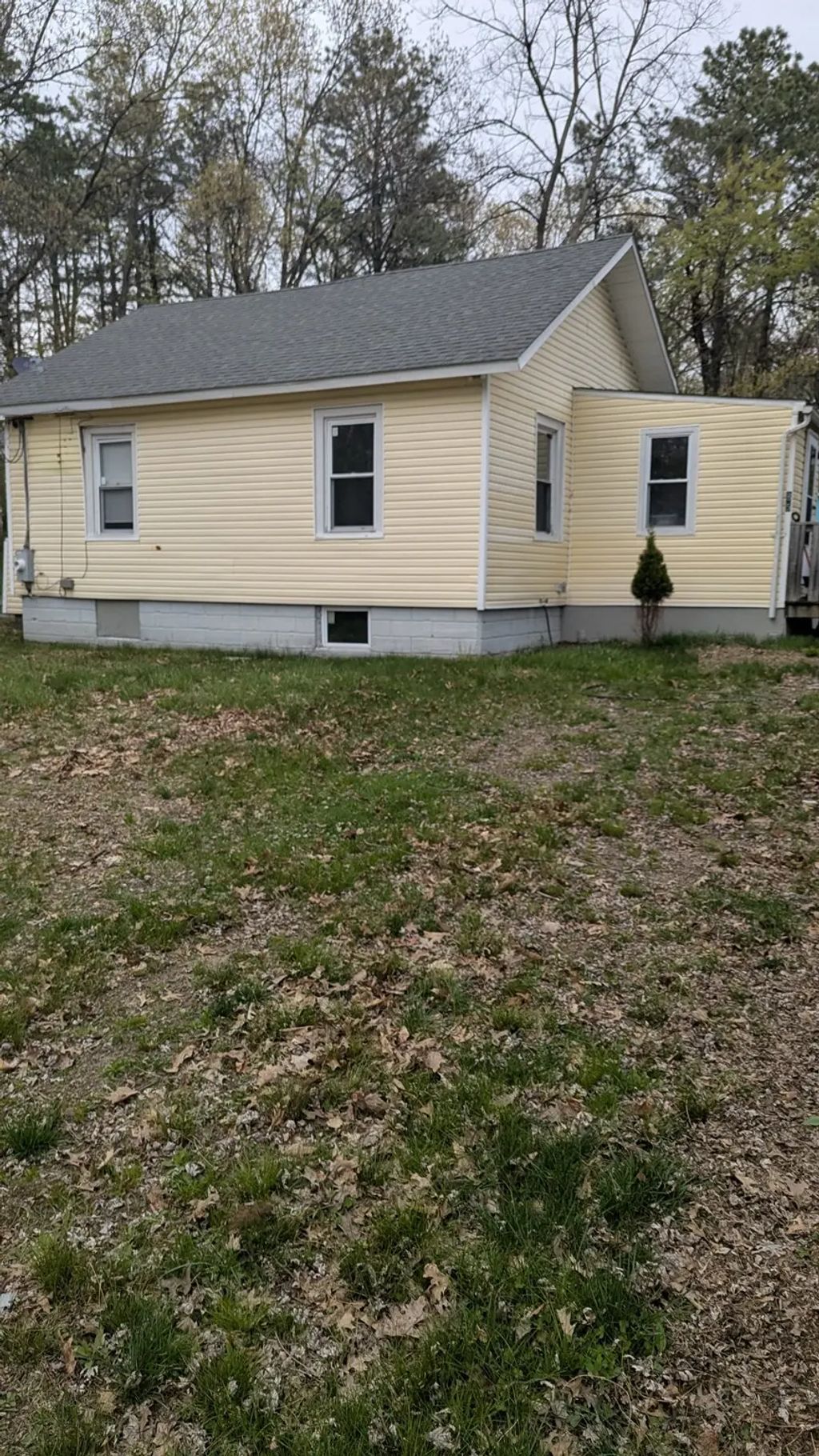 81 Arey St, Springfield