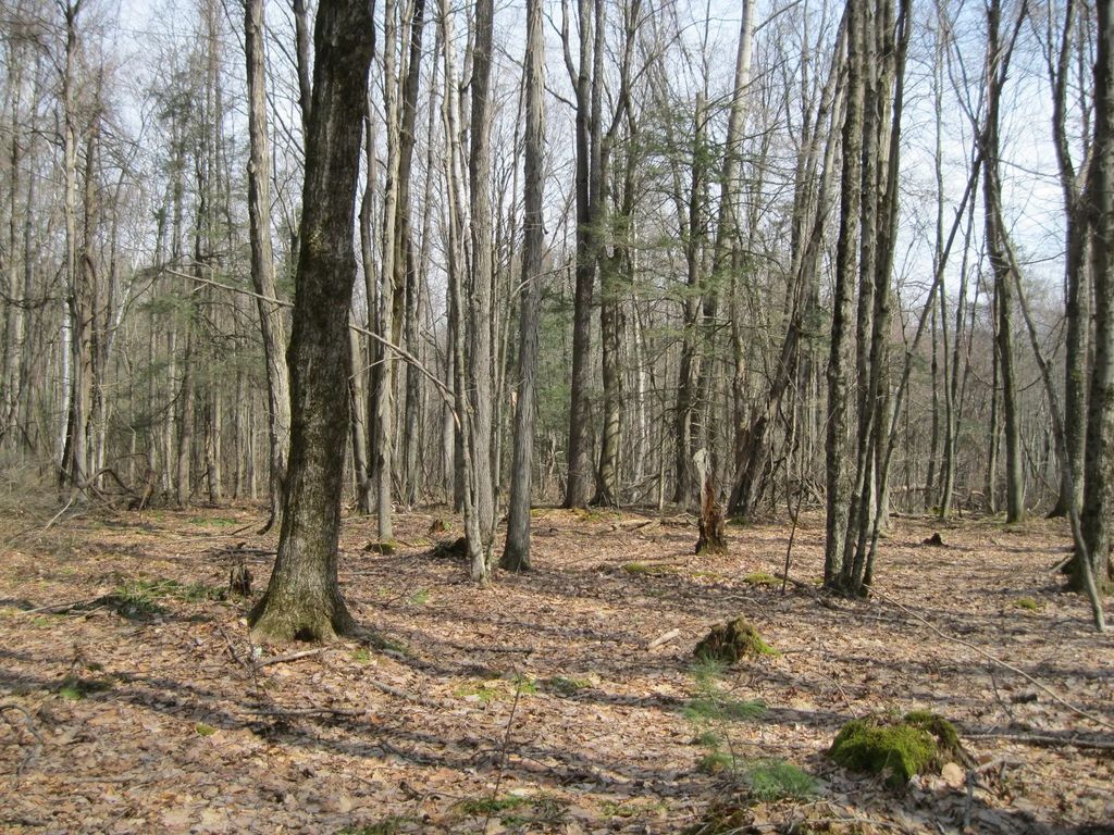 Mohawk Lake Rd, Stockbridge
