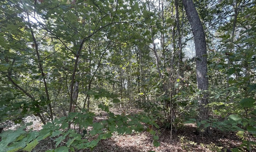 156 Rocky Hill Rd, Rehoboth