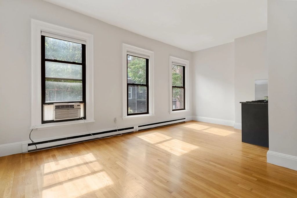 182 West Brookline Street #3, Boston